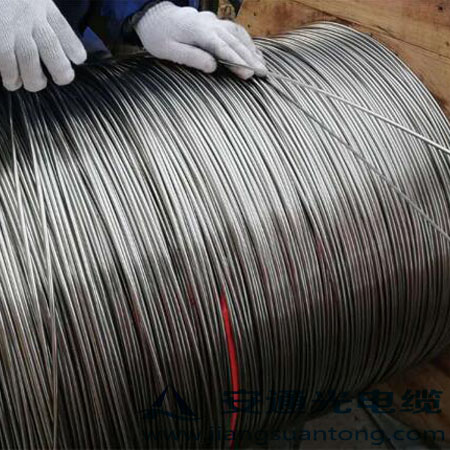 4.0mm ͚⾮Âй|,OPPC|SADSS|r24оOPGW|